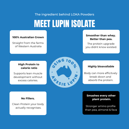 Loka Blue Heaven Powder benefits graphic - high fibre high protein supplement