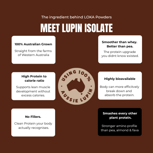 Loka Mocha Powder benefits graphic - high fibre high protein supplement